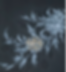 Screenshot 2021-07-03 155926.png